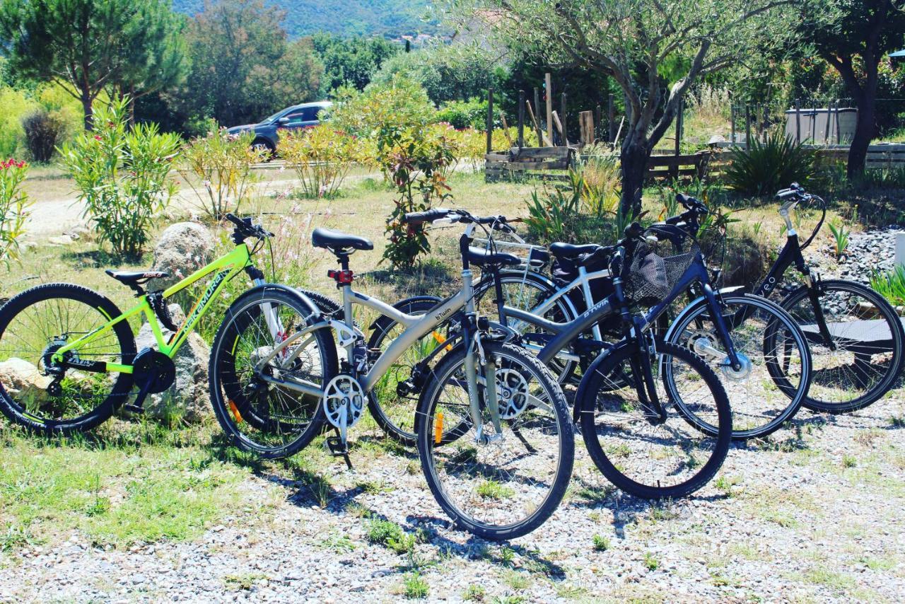Domaine Pedra Llampada Gite Mer Villelongue-dels-Monts Kültér fotó