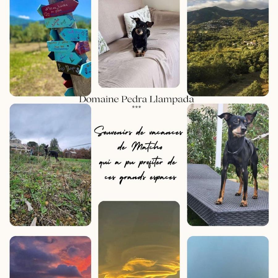 Domaine Pedra Llampada Gite Mer Villelongue-dels-Monts Kültér fotó