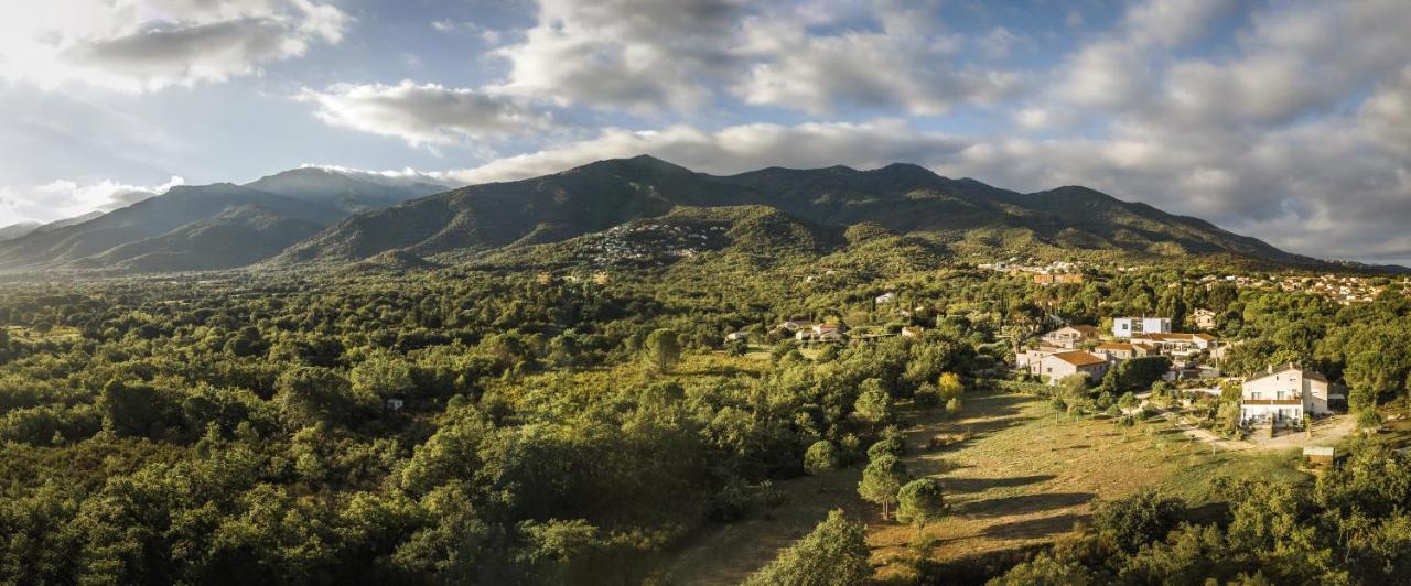 Domaine Pedra Llampada Gite Mer Villelongue-dels-Monts Kültér fotó